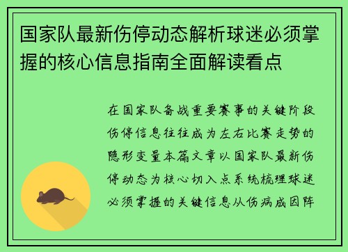 国家队最新伤停动态解析球迷必须掌握的核心信息指南全面解读看点